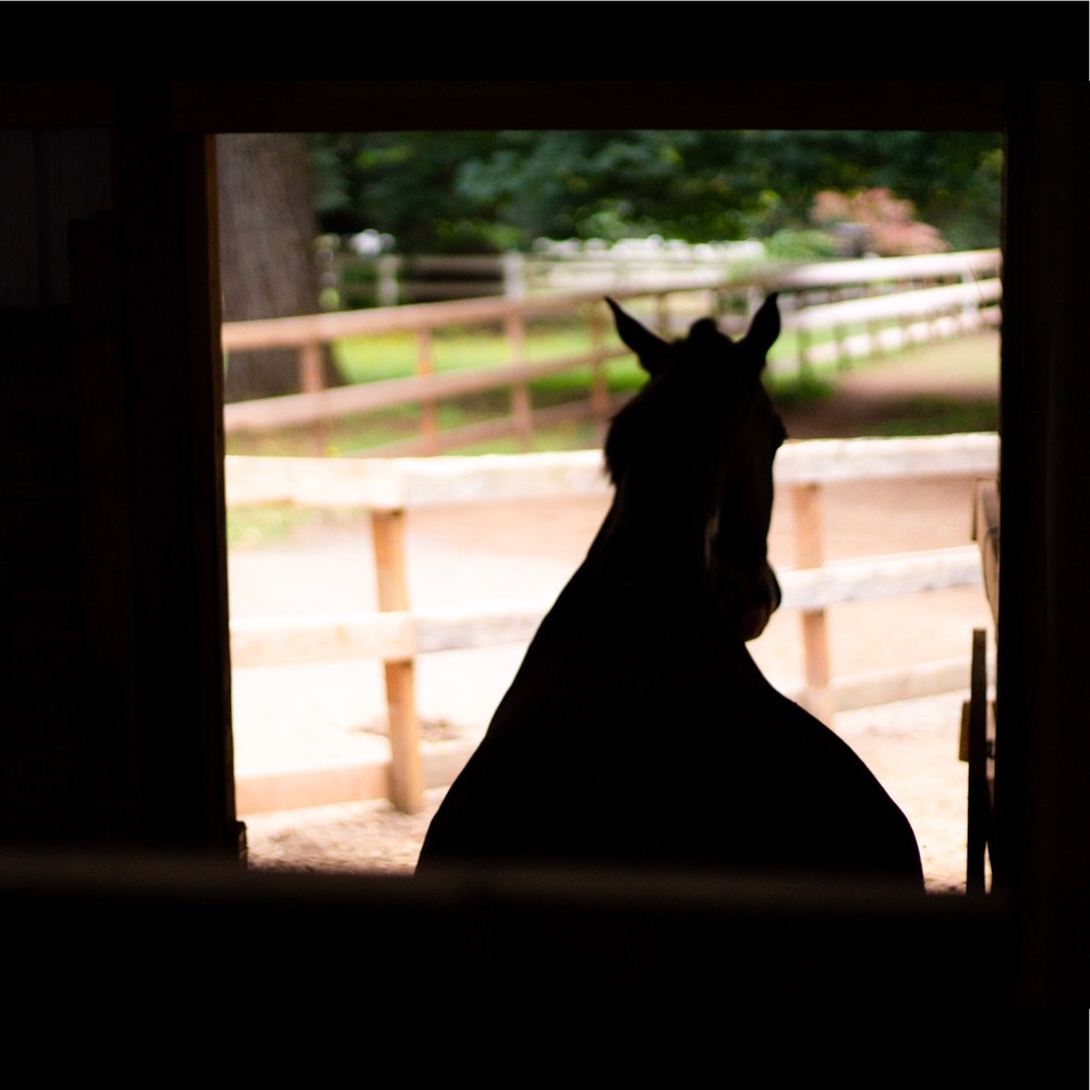 Connecting equestrians!